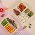 Corn Starch Bento Box Biodegradable Cornstarch Packaging Boxes Factory